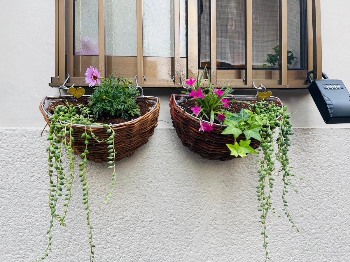 Namba Shinsaibashi 10 Mins Reiko Guest House โอซาก้า ภายนอก รูปภาพ
