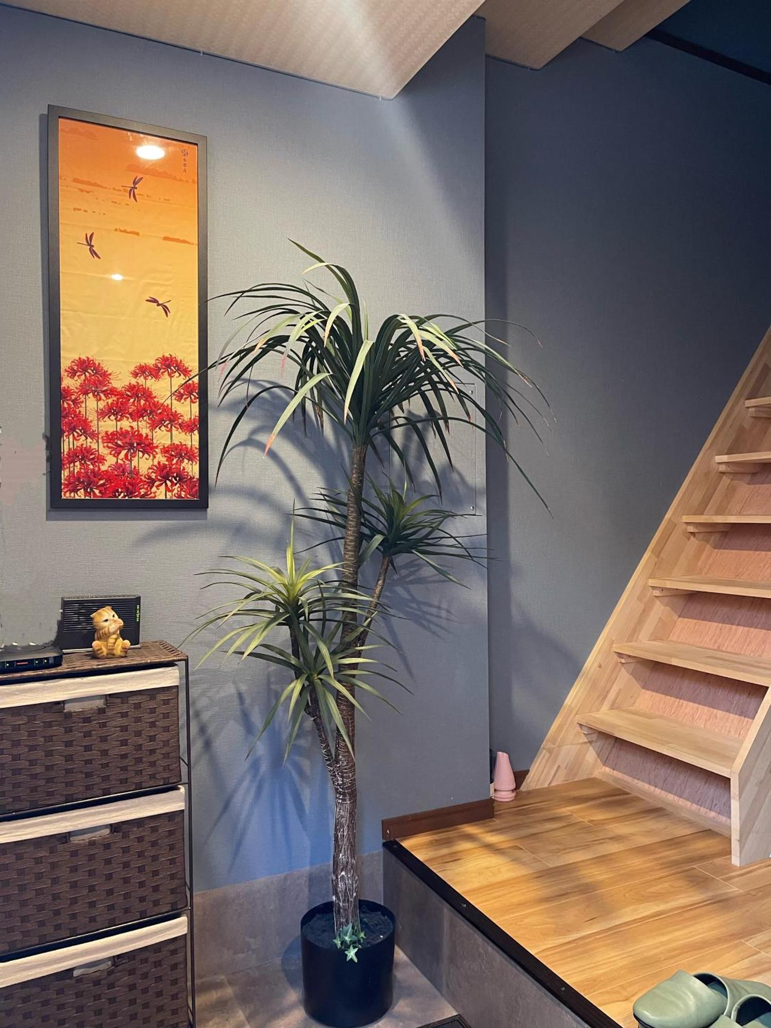 Namba Shinsaibashi 10 Mins Reiko Guest House โอซาก้า ภายนอก รูปภาพ
